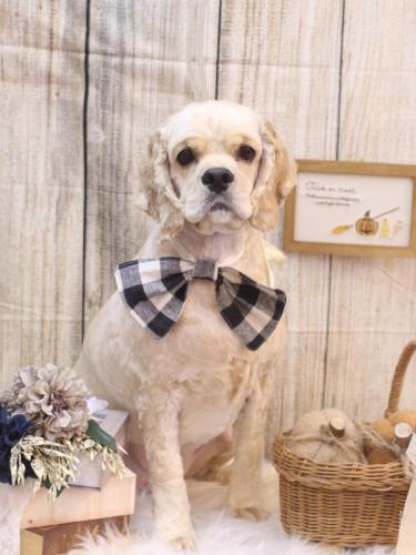 20241014たいようくん